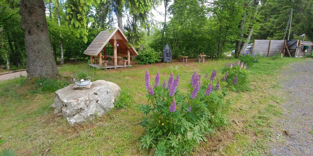Chalet De Martimprey - Chalets - Gites - Chambres D' Hotes Et Spas Gérardmer Esterno foto