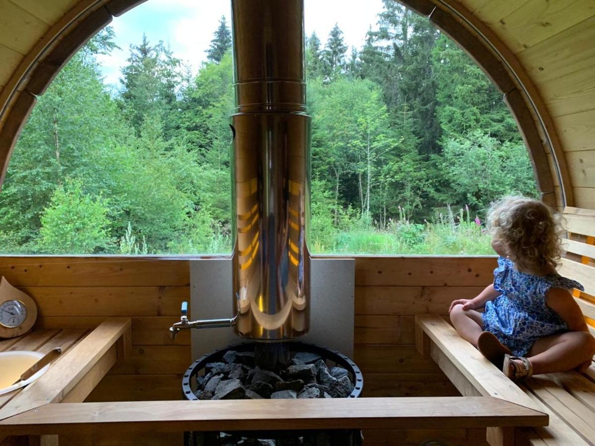 Chalet De Martimprey - Chalets - Gites - Chambres D' Hotes Et Spas Gérardmer Esterno foto